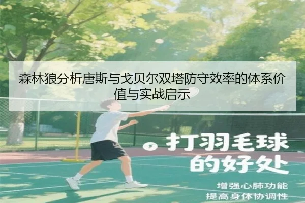 森林狼分析唐斯与戈贝尔双塔防守效率的体系价值与实战启示