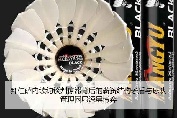拜仁萨内续约谈判停滞背后的薪资结构矛盾与球队管理困局深层博弈