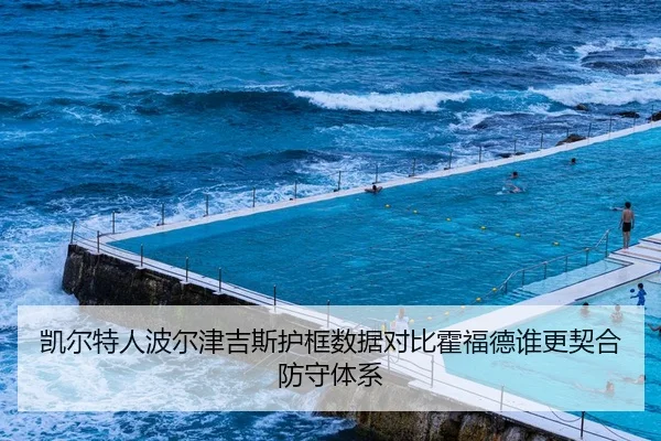 凯尔特人波尔津吉斯护框数据对比霍福德谁更契合防守体系